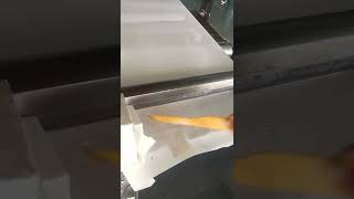 Glass Cloth Tape Coating Video- Yousan Tape Factory   #factory #adhesivetape #odm #oem #manufacture