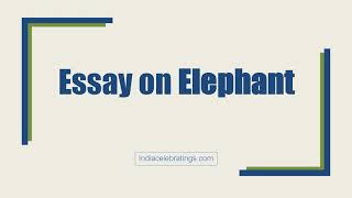 Essay on Elephant