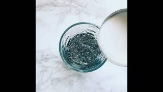 Quick & Easy Blueberry Chia Seed Pudding Recipe - How to Make Healthy Blueberry Breakfast Pudding