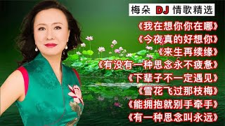 梅朵DJ歌曲精选，每首都好听！《我在想你你在哪》《来生再续缘》