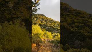 The first morning light on the mountain top :)💛