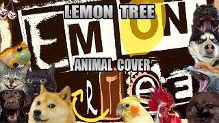 Fools Garden - Lemon Tree (Animal Cover)