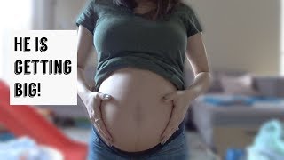 20-24 WEEK BUMPDATE! SECOND TRIMESTER NESTING