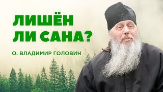 Лишен ли сана о. Владимир Головин?