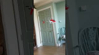 WoW - Remote control Helicopter indoors 😂😂