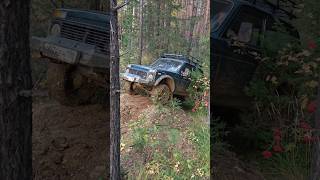 Небольшое препятствие #2024 #automobile #offroad #forest #summer #adventure #нива #природа #лето