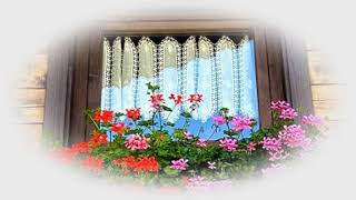 This windows is so beautiful flowers! (HD1080p)