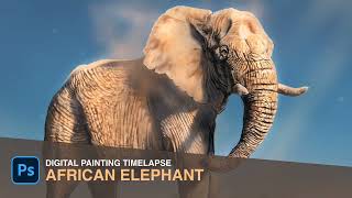 How To Draw African Elephant | Digital Painting Timelapse