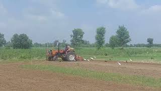 Ghazi 480 tractor averted rotavator to make field for corns field | Fiat tractor performance 👌 .