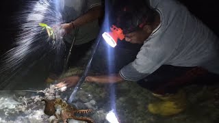 MENCARI kerang Laut tiba-tiba bapak ini menemukan hewan berbahaya di rumput laut sampai mengamuk 😱