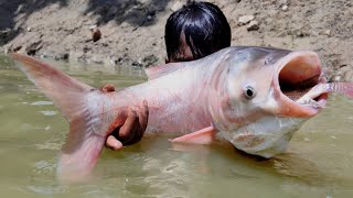 Best Gill Fishing | Huge Gill Net Fishing In Pond | Net Fishing