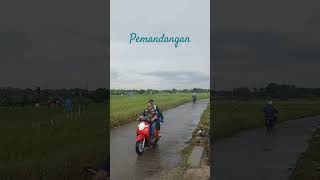 pemandangan hari libur hijau an #shortvideo #maenanyubii #karawanghits #fypシ #viral #wisata