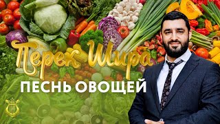 🥒  Перек Шира: Песнь Овощей (Рав Исраэль Якобов) Цикл: Песнь Творения. #29