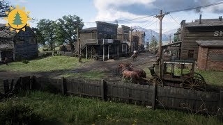 RED DEAD REDEMPTION 2 Ambience & Ambient Music | Valentine #2| Day/Night Cycles