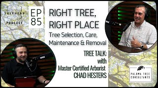 Want HEALTHY TREES? Watch This Arborist's Expert Advice Now