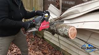 A Tree Fell On Side of The House | REMOVAL