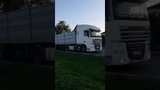 DAF XF 105 #видео #хочуврек #грузовик