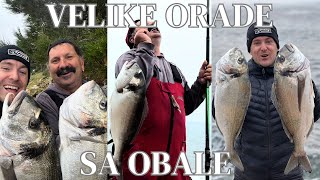 Ribolov sa obale: VELIKE ORADE