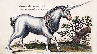 Unicorns Existed in the 18th Century