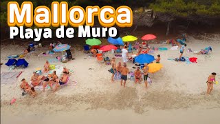 MALLORCA 🏖 SPAIN ❤️ PLAYA DE MURO ✨️ ALCUDIA 🏝 Recording with the drone on a cloudy day