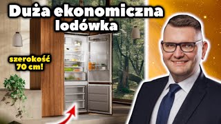 Oszczędzaj energię oraz jedzenie. Najbardziej energooszczędna lodówka Electrolux