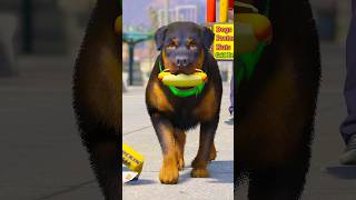 GTA V FRANKLIN DOG CHOP FLIRT WITH GIRL #shorts | Maheshwar Gamerz