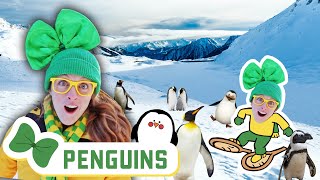 Snow Shoes and Penguins | Season 2 Brecky Breck Field Trips For Kids | Aquarium & Fish for Kids