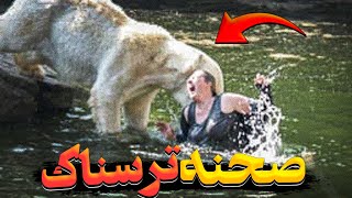 ❌لحظه دردناک کشته شدن نوجوان انگلیسی توسط خرس❌