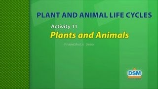 Plant and Animal Life Cycles - Activity 11: Plants and Animals