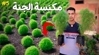 زرعت نبات غريب 🍀🌳تحديات_عبده (5)