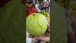 Big size Amrud /peyara/Guava at siliguri..#ytshorts #shorts