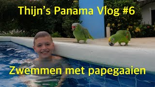 Thijn's Panama Vlog #6 Zwemmen met Papegaaien