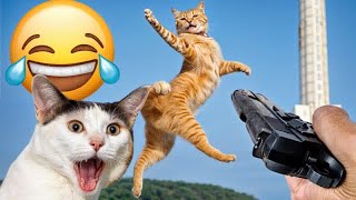 I would die laughing for these FUNNIEST Cats 😺Funniest Cat Reaction😪🐶