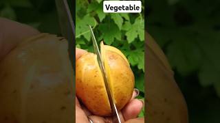 Vegetable Farming🥔🍠🥦🍅 #vegetablefarming #vegetables #allu #organic #vegetablescutting #@food-home14G