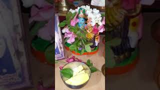 krishna janmashtami celebration | krishna jeyanthi celebration at home | gokulashtami  #shorts