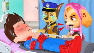 RYDER SPIDERMAN Please Wake Up!! - Sad Story But Happy Ending - Paw Patrol 3D Animation