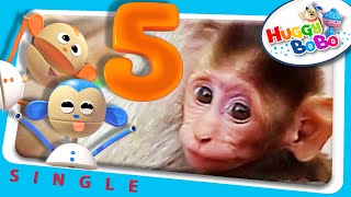 Five Little Monkeys | 3D Animation PLUS Real Live Animals | Nursery Rhymes | By HuggyBoBo