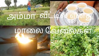 அம்மா வீட்டில் எனது மாலை வேலை / evening routine in  Tamil