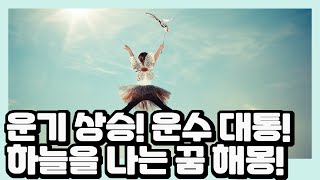 운기 상승! 운수 대통! 하늘을 나는 꿈 해몽!