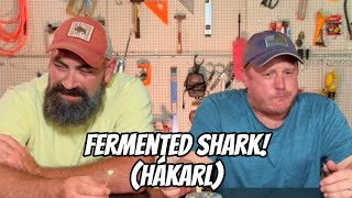 Trying Fermented Shark! (Hákarl!)