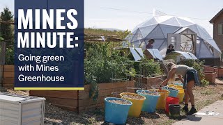 Going green: A closer look at the Mines Greenhouse