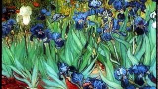 Iris di Van Gogh