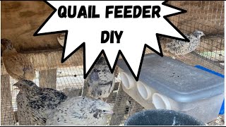 Low waste Quail feeders! Quick and EASY!