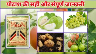 पोटाश खाद की संपूर्ण जानकरी | पोटेशियम क्लोराइड | Potash fartilizer | MOP | Muriate of potash |