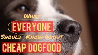 WHAT EVERYONE SHOULD KNOW ABOUT CHEAP DOGFOOD (BRANDS TO AVOID)