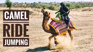 Camel Ride Time Jump || Safari Camel || Camel Race || Decorated Camel