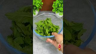 Kitchen Tips - How To Store pudina/ Mint leaves For 1 Month #shorts #youtubeshorts #kitchentips