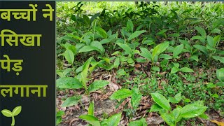 बच्चों ने सिखा पेड़ लगाना🌱🌳 l#summercamp #govtschool #bihareducationdepartment #bpscteacher #nature