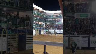 TOURO REZA LENDA DA CIA JK BUCKING BULLS