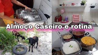 Como faço Strogonoff de frango simples e rápido + Vlog do dia, nossa nova criação de Ovelhas